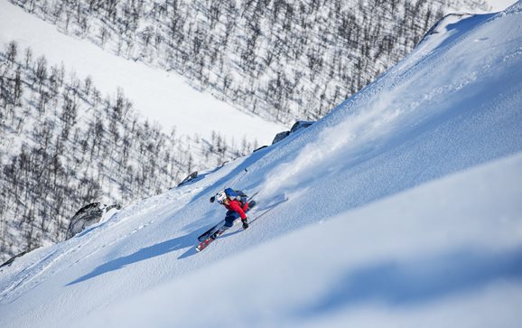 1offpiste1__